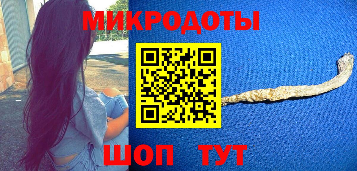 Кохма  где можно купить наркотик  Вход с VPN  Псилоцибиновые грибы Psilocybe 